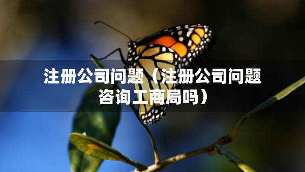 注冊公司問題（注冊公司問題咨詢工商局嗎）