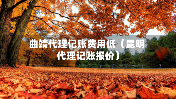 曲靖代理記賬費用低（昆明 代理記賬報價）
