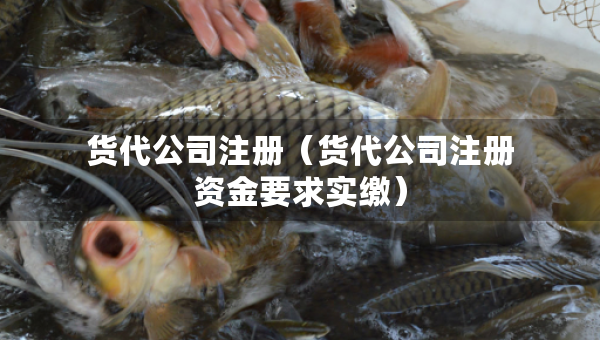 貨代公司注冊（貨代公司注冊資金要求實(shí)繳）