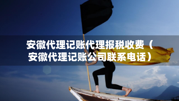 安徽代理記賬代理報(bào)稅收費(fèi)（安徽代理記賬公司聯(lián)系電話）