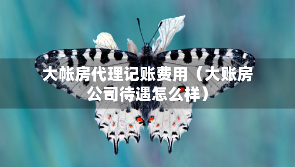 大帳房代理記賬費(fèi)用（大賬房公司待遇怎么樣）