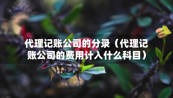 代理記賬公司的分錄（代理記賬公司的費用計入什么科目）