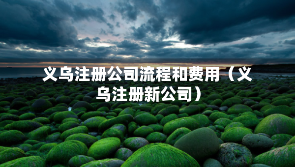 義烏注冊公司流程和費用（義烏注冊新公司）
