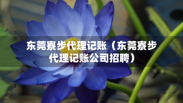 東莞寮步代理記賬（東莞寮步代理記賬公司招聘）