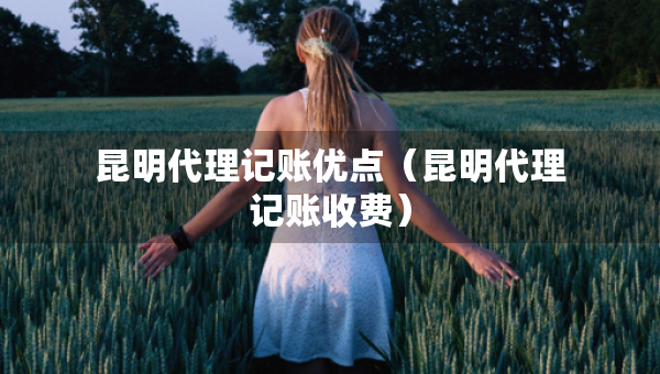 昆明代理記賬優(yōu)點(diǎn)（昆明代理記賬收費(fèi)）