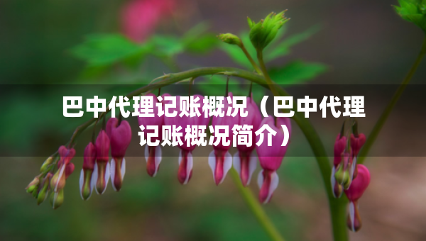 巴中代理記賬概況（巴中代理記賬概況簡介）