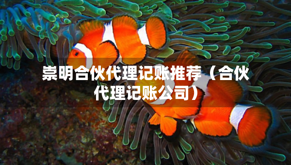 崇明合伙代理記賬推薦（合伙代理記賬公司）