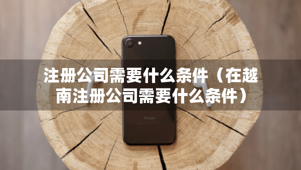 注冊公司需要什么條件（在越南注冊公司需要什么條件）