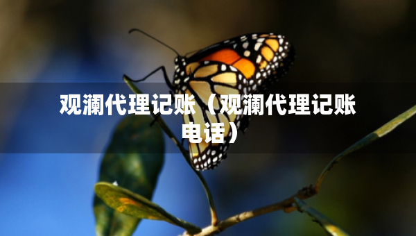 觀瀾代理記賬（觀瀾代理記賬電話）
