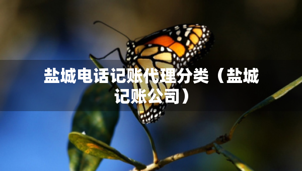 鹽城電話記賬代理分類（鹽城記賬公司）