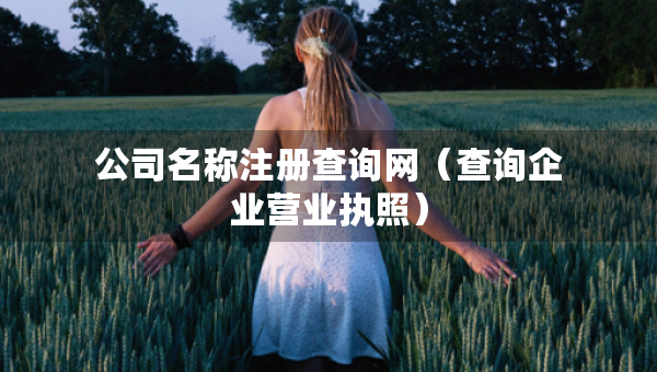公司名稱注冊查詢網(wǎng)（查詢企業(yè)營業(yè)執(zhí)照）