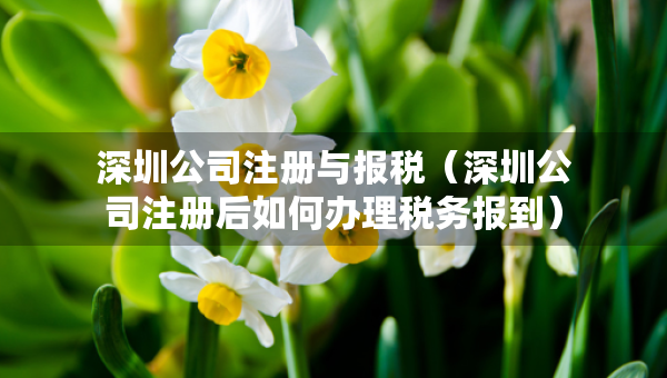 深圳公司注冊(cè)與報(bào)稅（深圳公司注冊(cè)后如何辦理稅務(wù)報(bào)到）