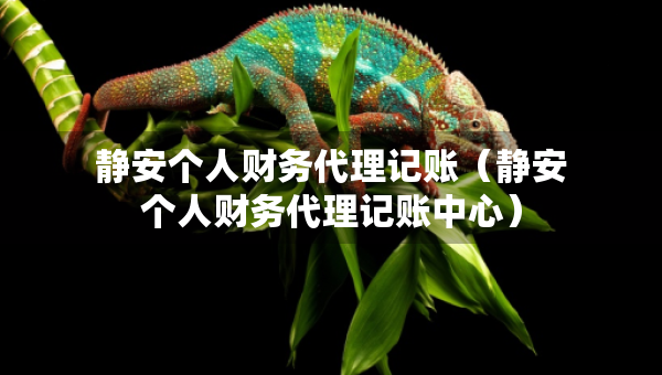 靜安個(gè)人財(cái)務(wù)代理記賬（靜安個(gè)人財(cái)務(wù)代理記賬中心）