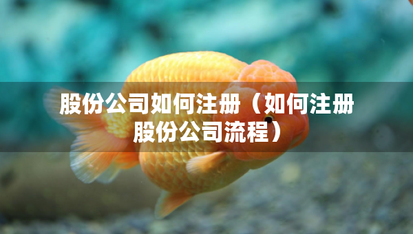 股份公司如何注冊(cè)（如何注冊(cè)股份公司流程）