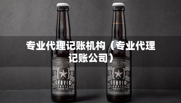 專業(yè)代理記賬機(jī)構(gòu)（專業(yè)代理記賬公司）