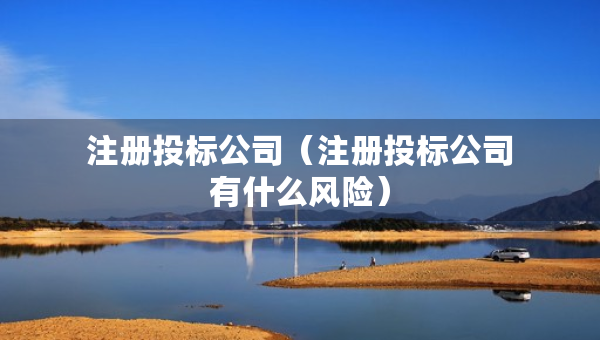 注冊投標(biāo)公司（注冊投標(biāo)公司有什么風(fēng)險(xiǎn)）