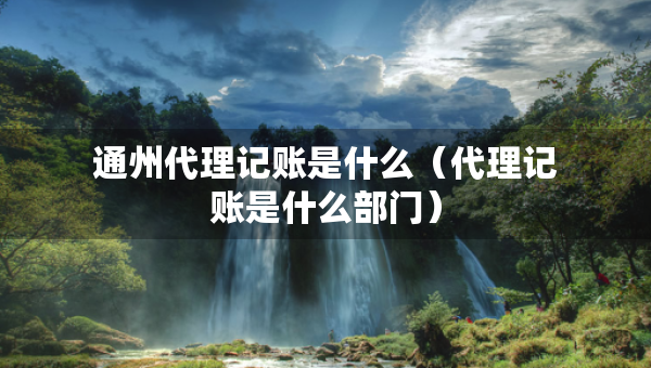 通州代理記賬是什么（代理記賬是什么部門）