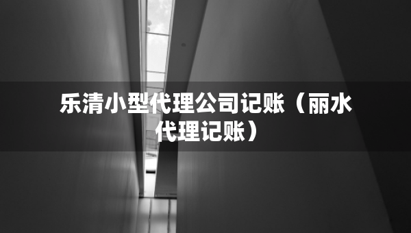 樂清小型代理公司記賬（麗水代理記賬）