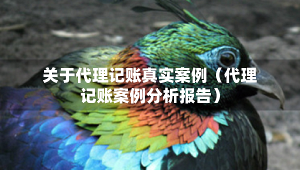 關(guān)于代理記賬真實案例（代理記賬案例分析報告）