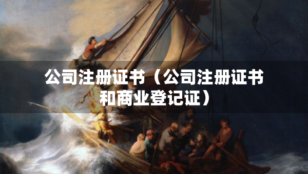 公司注冊證書（公司注冊證書和商業(yè)登記證）