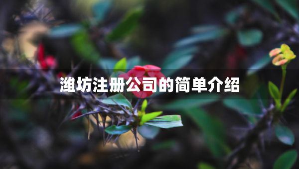 濰坊注冊公司的簡單介紹
