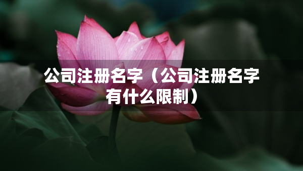 公司注冊名字（公司注冊名字有什么限制）