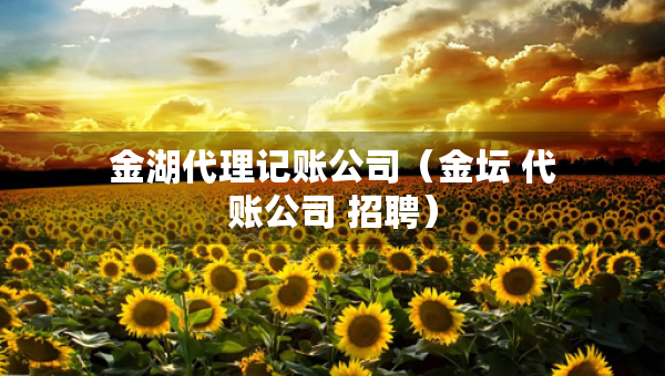 金湖代理記賬公司（金壇 代賬公司 招聘）