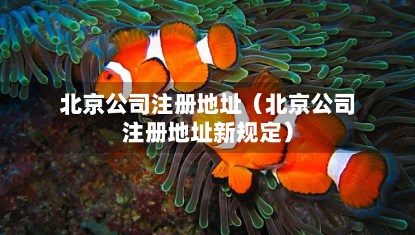北京公司注冊(cè)地址（北京公司注冊(cè)地址新規(guī)定）