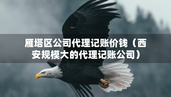 雁塔區(qū)公司代理記賬價錢（西安規(guī)模大的代理記賬公司）