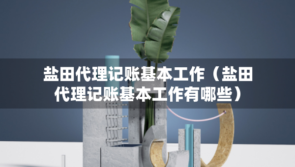 鹽田代理記賬基本工作（鹽田代理記賬基本工作有哪些）