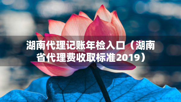 湖南代理記賬年檢入口（湖南省代理費收取標準2019）