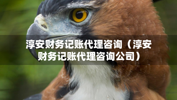 淳安財(cái)務(wù)記賬代理咨詢（淳安財(cái)務(wù)記賬代理咨詢公司）