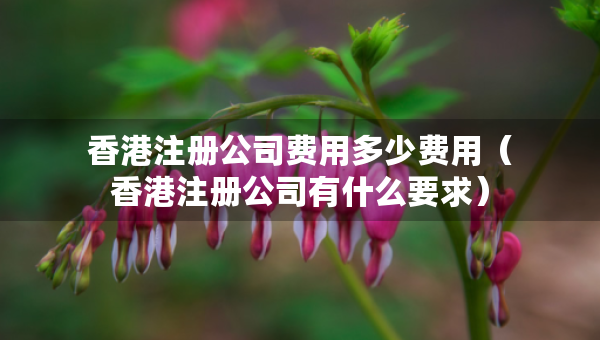 香港注冊公司費(fèi)用多少費(fèi)用（香港注冊公司有什么要求）