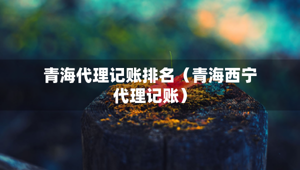 青海代理記賬排名（青海西寧代理記賬）