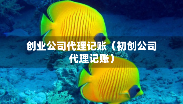 創(chuàng)業(yè)公司代理記賬（初創(chuàng)公司代理記賬）