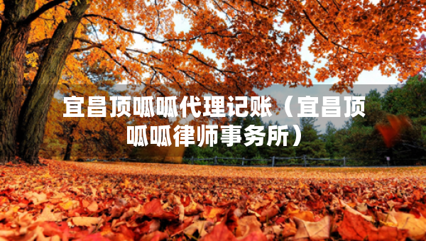 宜昌頂呱呱代理記賬（宜昌頂呱呱律師事務(wù)所）