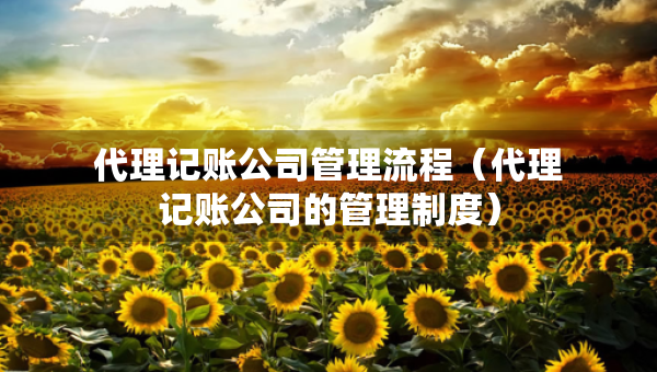 代理記賬公司管理流程（代理記賬公司的管理制度）