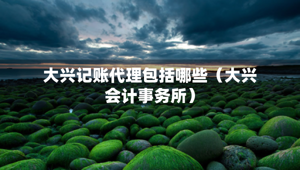大興記賬代理包括哪些（大興會計事務(wù)所）