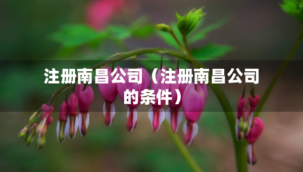 注冊南昌公司（注冊南昌公司的條件）