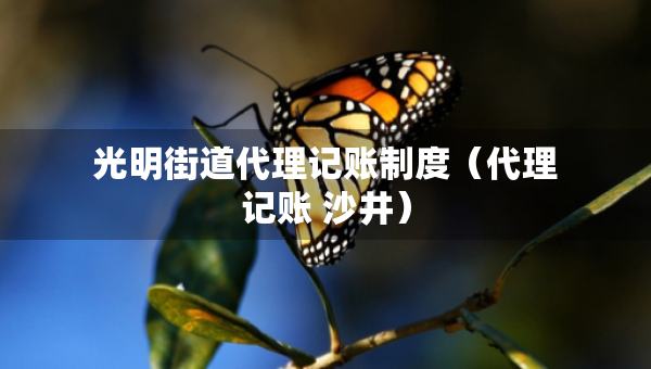 光明街道代理記賬制度（代理記賬 沙井）