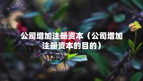 公司增加注冊資本（公司增加注冊資本的目的）