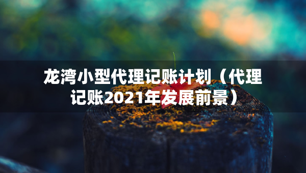 龍灣小型代理記賬計劃（代理記賬2021年發(fā)展前景）
