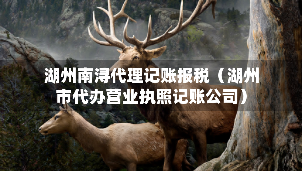 湖州南潯代理記賬報(bào)稅（湖州市代辦營(yíng)業(yè)執(zhí)照記賬公司）