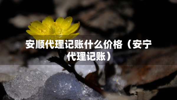 安順代理記賬什么價(jià)格（安寧代理記賬）