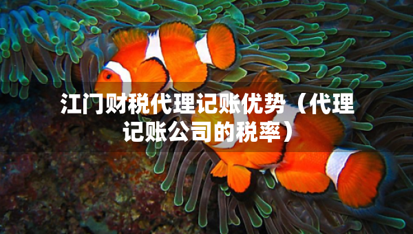 江門財稅代理記賬優(yōu)勢（代理記賬公司的稅率）