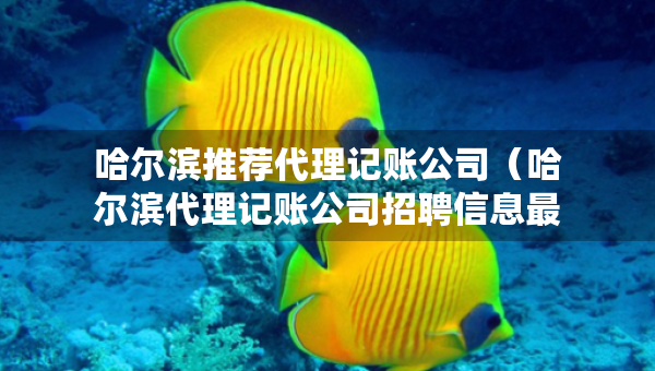 哈爾濱推薦代理記賬公司（哈爾濱代理記賬公司招聘信息最新）