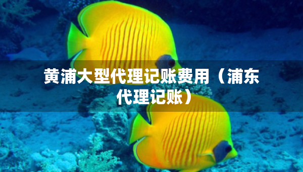 黃浦大型代理記賬費用（浦東 代理記賬）