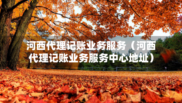 河西代理記賬業(yè)務服務（河西代理記賬業(yè)務服務中心地址）