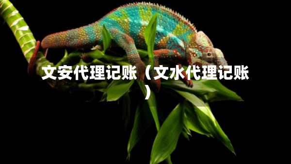 文安代理記賬（文水代理記賬）