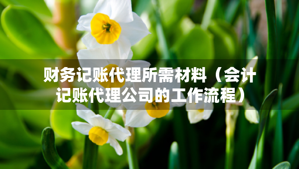財務(wù)記賬代理所需材料（會計記賬代理公司的工作流程）